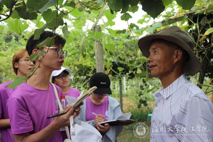 大学生第一村 走访果农.jpg